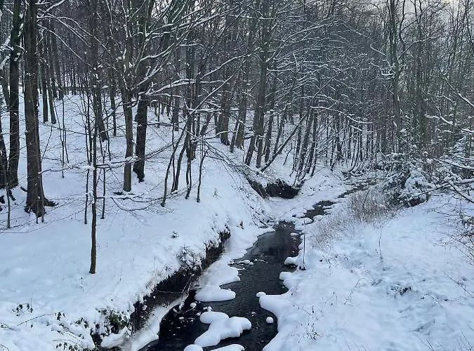 Z Widokiem Na Blizniaki * Chocznia